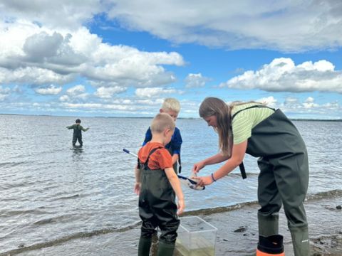 Vodatent Hvalpsund Familie Camping - Sjaelland - Image N°5