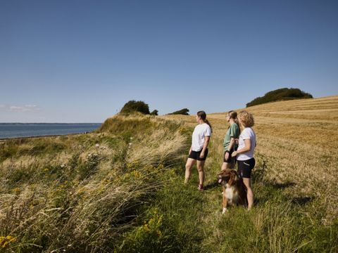 Vodatent Emmerbølle Strand Camping - Southern Denmark - Image N°3