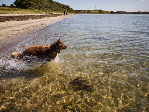 Vodatent Emmerbølle Strand Camping - Southern Denmark - Image N°4