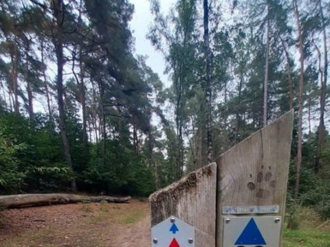Vodatent Camping San Lanaco - Belgian Limburg - Image N°9