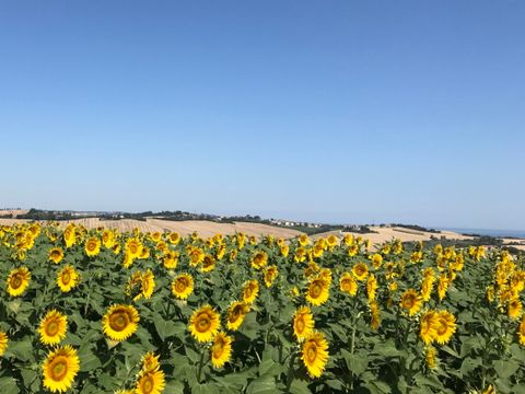 Vodatent Camping Paradiso - Pesaro-Urbino - Image N°7