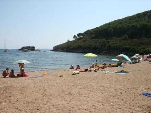 Vodatent Tenuta delle Ripalte - Livorno - Image N°4