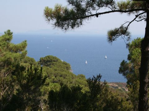 Vodatent Tenuta delle Ripalte - Livorno - Image N°21