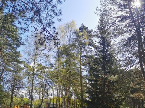 Camping Les Sapins de Corrèze - Doubs