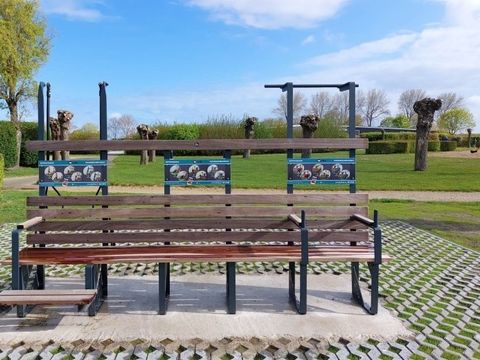 Kustpark Nieuwpoort - West Flanders - Image N°5