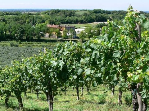 Vodatent Agriturismo Le Sorgive e Le Volpi - Mantua - Image N°10