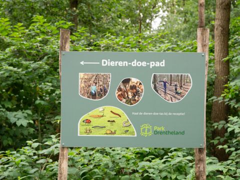 Vodatent Park Drentheland - Westerveld - Image N°22