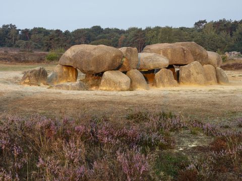 Vodatent Park Drentheland - Westerveld - Image N°25