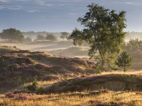 Vodatent Park Drentheland - Westerveld - Image N°23