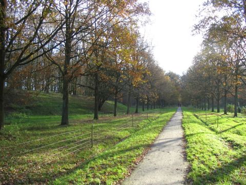 Vodatent Camping de Bouwte - Oldambt - Image N°14