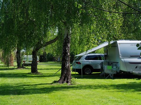 Vodatent Camping de Boerenzwaluw - Hollands Kroon - Image N°5