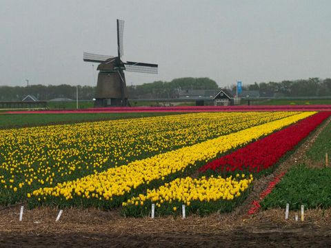 Vodatent Camping de Boerenzwaluw - Hollands Kroon - Image N°9