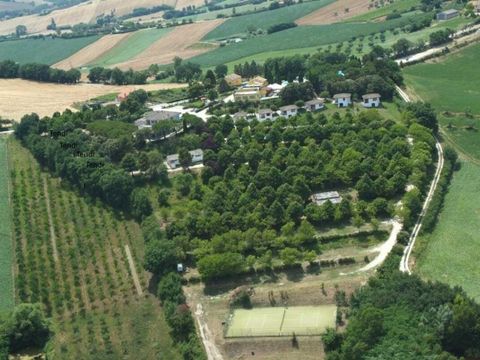 Vodatent Camping Mar y Sierra - Pesaro-Urbino - Image N°21