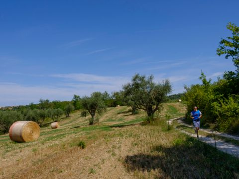 Vodatent Camping Mar y Sierra - Pesaro-Urbino - Image N°2