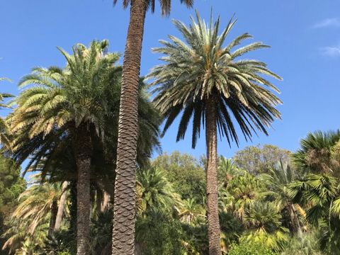 Vodatent Camping Rosselba le Palme - Livorno - Image N°13