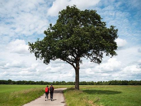 Landgoed de Huynen - Aa en Hunze - Image N°4