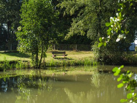 Vakantiepark 't Strandheem - Westerkwartier - Image N°12