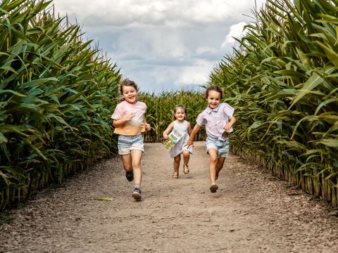 Glamping Durbuy Greenfields - Belgian Luxembourg - Image N°13