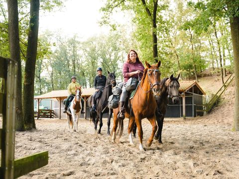 Vakantiepark Sandberghe - Uden - Image N°5