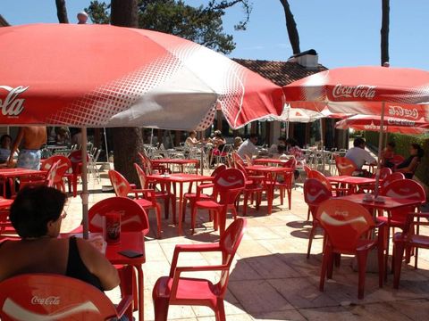 Camping Angeiras - Northern Portugal