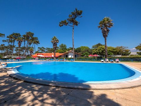 Camping Angeiras - Northern Portugal