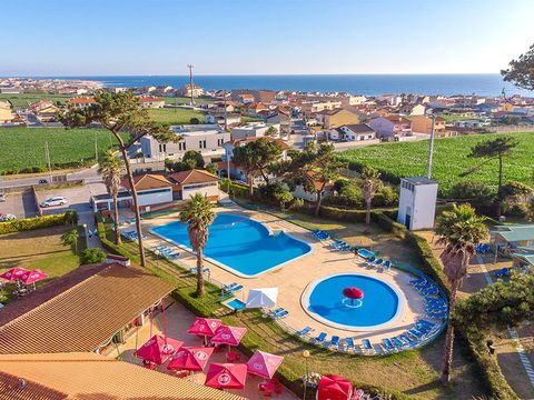 Camping Angeiras - Northern Portugal