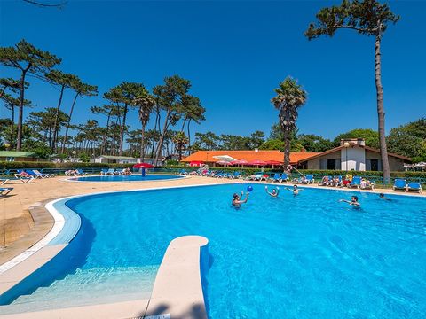Camping Angeiras - Northern Portugal