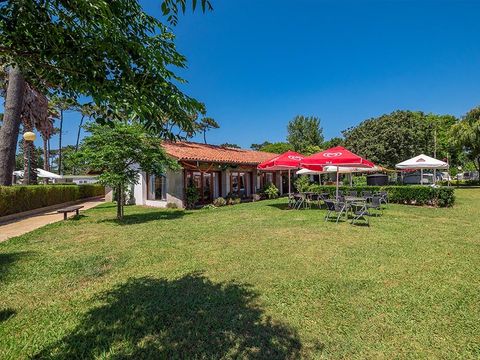 Camping Angeiras - Northern Portugal
