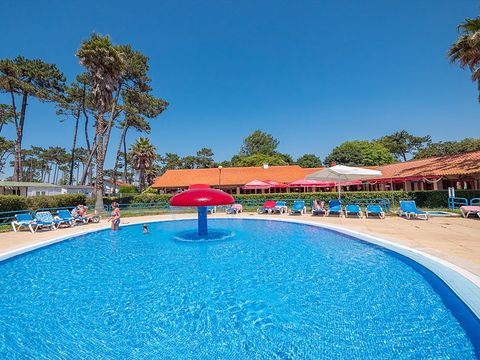 Camping Angeiras - Northern Portugal