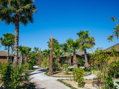 Camping Alannia Costa Blanca - Camping Alicante