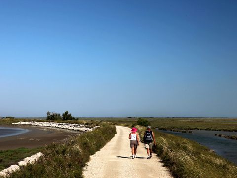 Camping Crin Blanc - Bouches-du-Rhône