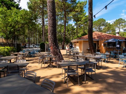 Camping Club Le Vivier 4* - MS VACANCES - Landes