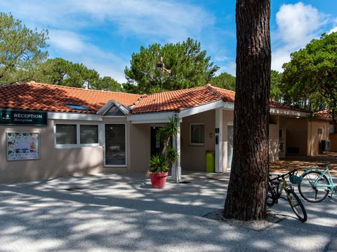 Camping Club Le Vivier 4* - MS VACANCES - Landes