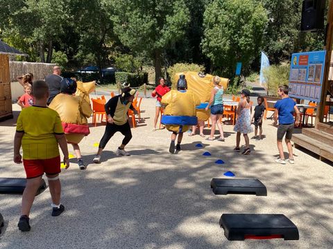 Camping Domaine de Gaujac - Camping Paradis - Gard