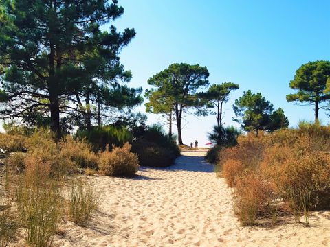 Camping Dolce Vita - Northern Corsica