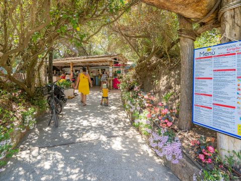 Camping Etruria - Livorno