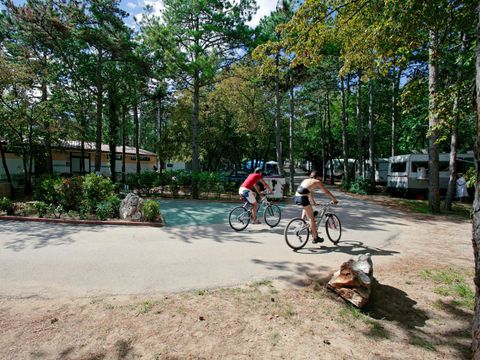 Camping Mare Pineta - Trieste