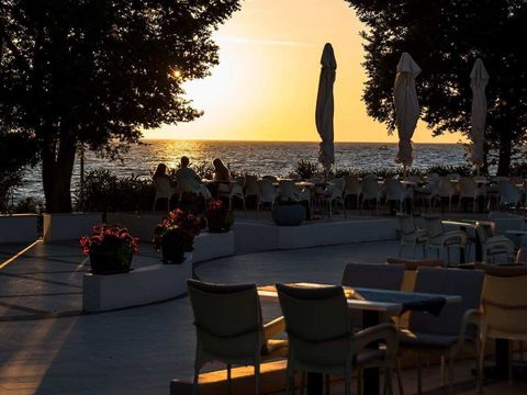 Camping Bi Village  - Istria
