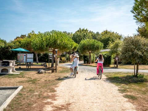 Camping Paradis Au port de l'houmeau - Charente-Maritime