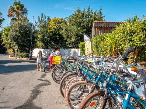 Camping Paradis Au port de l'houmeau - Charente-Maritime
