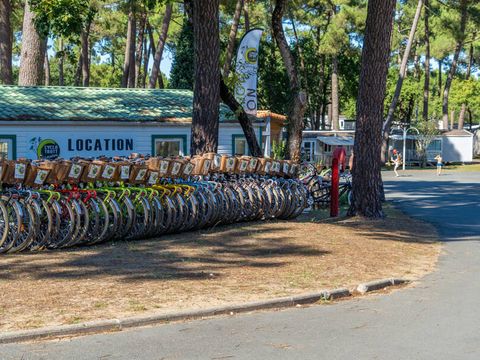 Camping Palmyre Loisirs  - Charente-Maritime