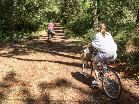 Pineta Family Camping Village - Ravenna