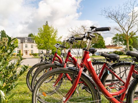 Camping Sandaya Le Château des Marais  - Loir-et-Cher