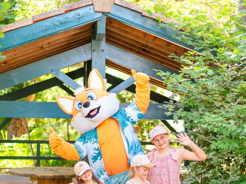 Camping Landae - Landes