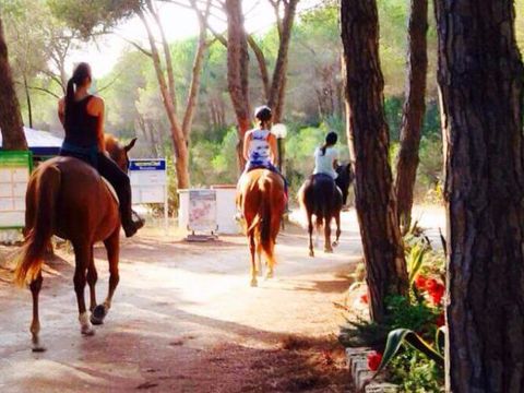 Camping Bella Sardinia - Oristano