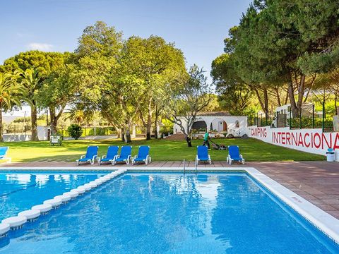 Camping Internacional Palamos - Girona