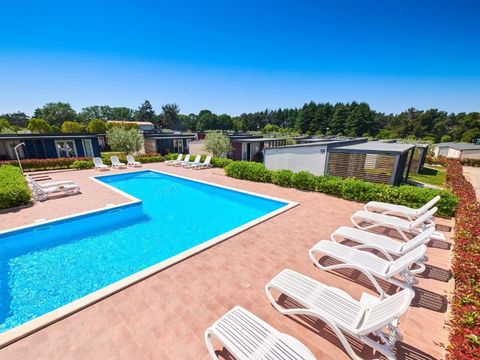 Camping Kastanija - Istria