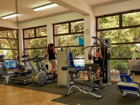 Camping Les Oliviers - Southern Corsica