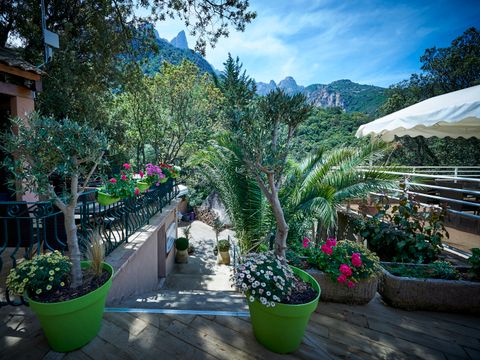 Camping Les Oliviers - Southern Corsica