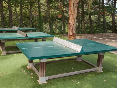 Camping Les Oliviers - Southern Corsica